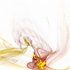 Colorfracs (21)